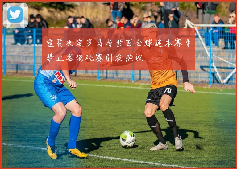 重罚决定罗马与紫百合球迷本赛季禁止客场观赛引发热议