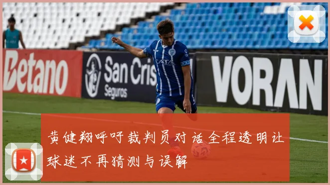 黄健翔呼吁裁判员对话全程透明让球迷不再猜测与误解